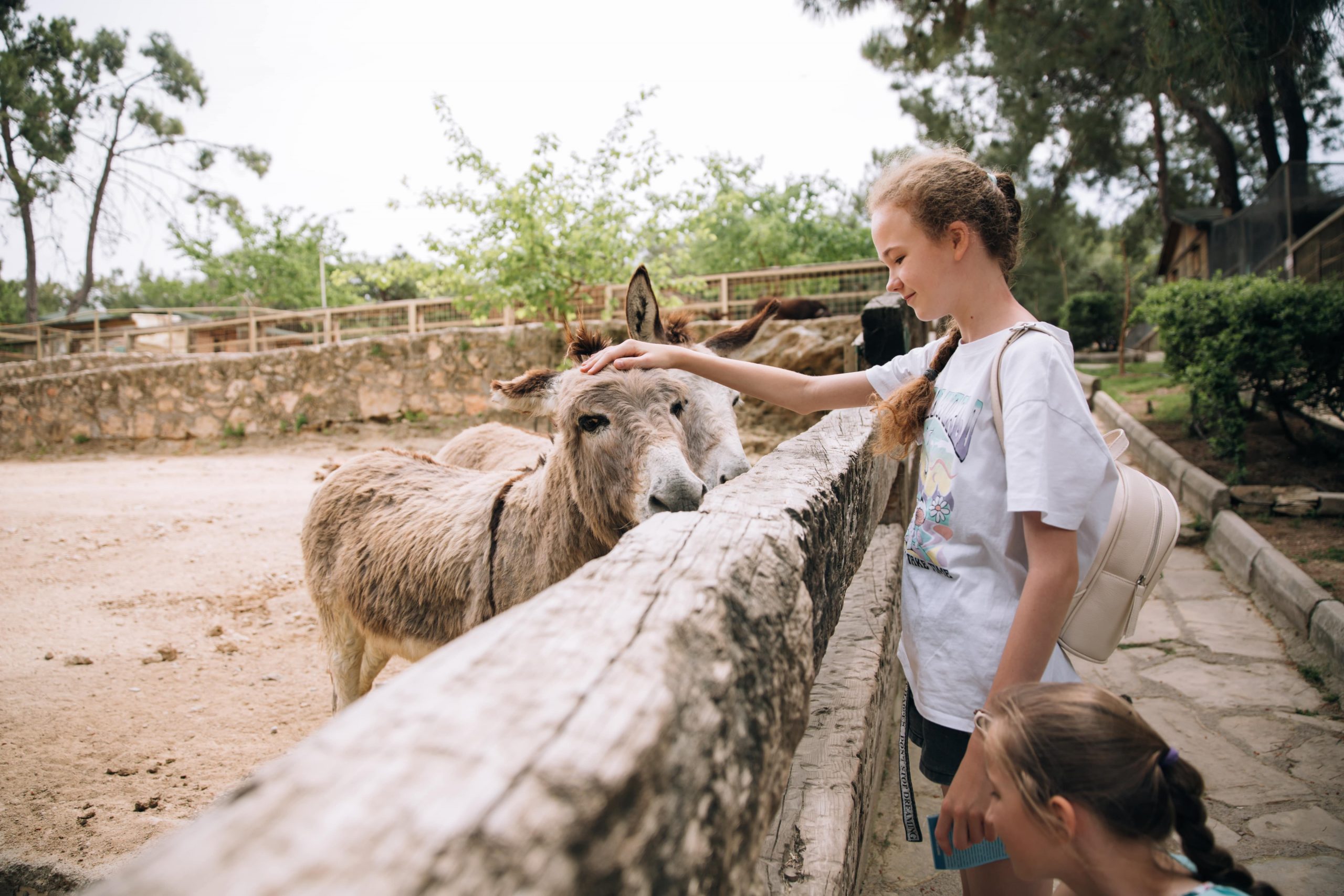 What does Zoological Park Mean?